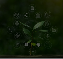 ESG Report